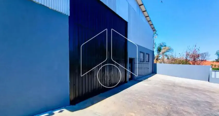 Barracão / Galpão / Depósito para alugar na Rua Piratininga, 10293, Alto Cafezal, Marília