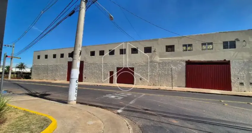 Barracão / Galpão / Depósito para alugar na Avenida Maria Fernandes Cavallari, 10599, Jardim Cavallari, Marília