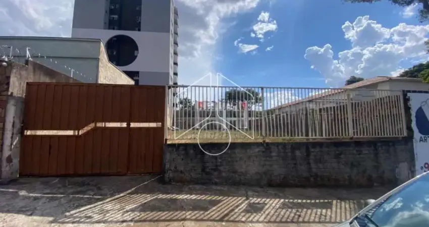 Terreno comercial para alugar na Avenida Santo Antônio, 66, Alto Cafezal, Marília