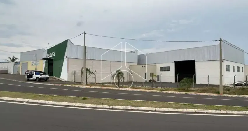 Barracão / Galpão / Depósito para alugar na Rua Norberto de Carvalho, 8163, Lorenzetti, Vera Cruz