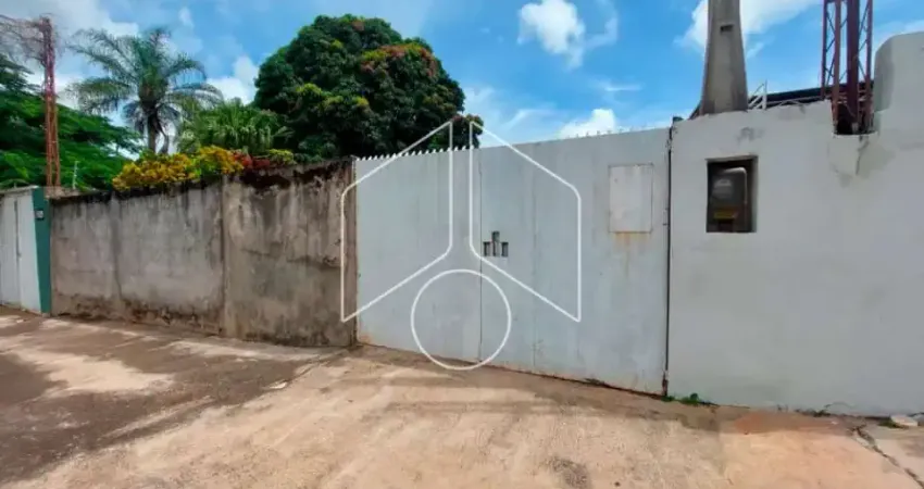 Terreno comercial para alugar na Maria Fernandes Cavallari, 10766, Jardim Cavallari, Marília