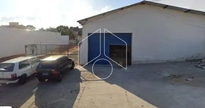 Comercial GalpãoBarracão em Marília