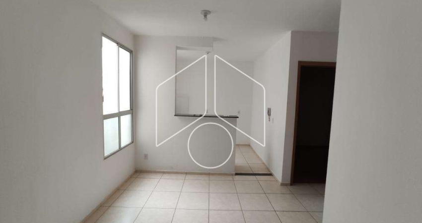 Apartamento com 2 quartos para alugar na Avenida Doutor Hércules Galletti, Bloco 6, 2113, Jardim Califórnia, Marília