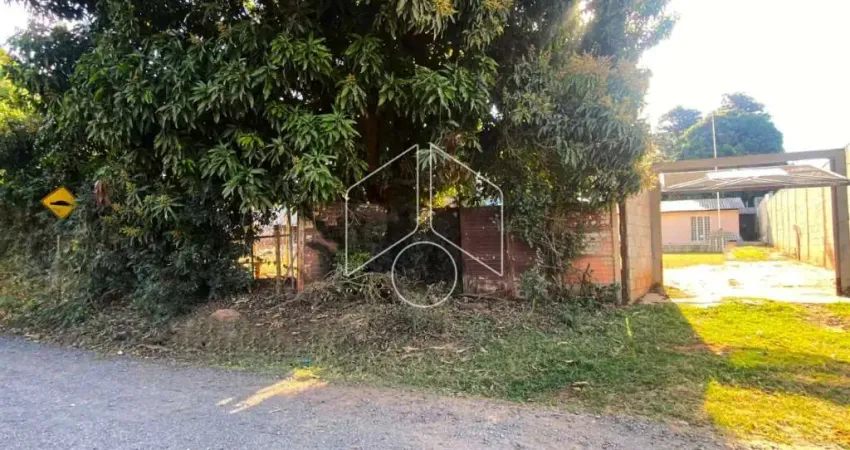 Chácara / sítio com 2 quartos para alugar na Rua Leobino de Barros Neto, Chácara Vovô Urso, 99, Sítios de Recreio Shangrilá (Padre Nóbrega), Marília