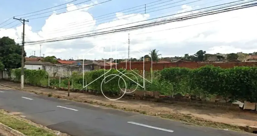 Terreno comercial para alugar na Avenida João Martins Coelho, 89, Jardim Santa Antonieta, Marília