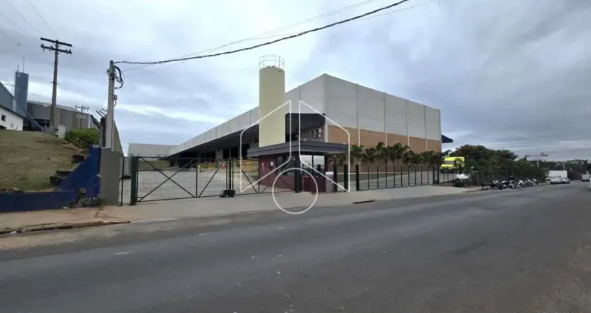 Barracão / Galpão / Depósito para alugar na Avenida Eugênio Coneglian, 10884, Distrito Industrial, Marília