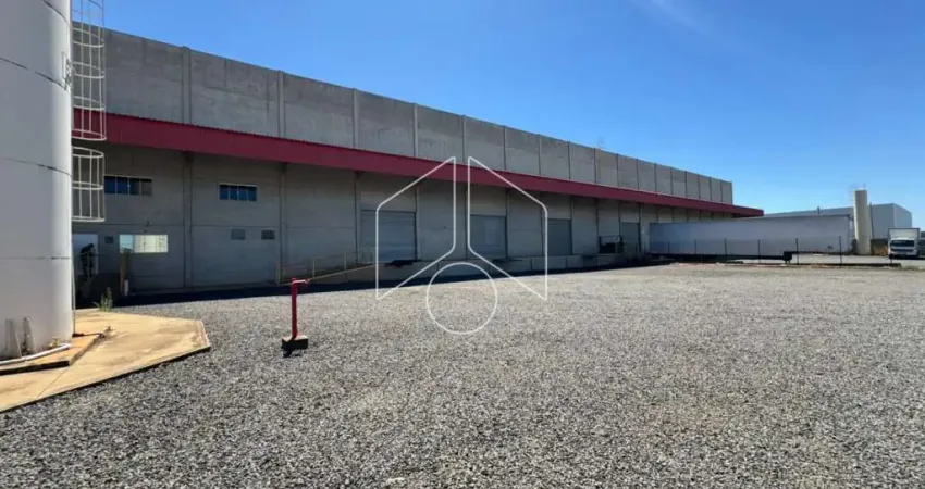 Barracão / Galpão / Depósito para alugar na Avenida República, 80324, Distrito Industrial Santo Barion, Marília