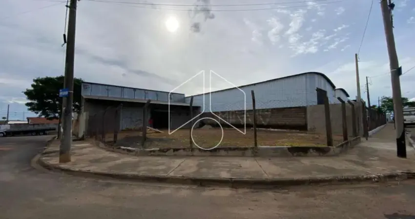 Barracão / Galpão / Depósito para alugar na Rua Léia Cristina Coneglian Iwazaki, 2073, Núcleo Habitacional José Teruel Martinez, Marília