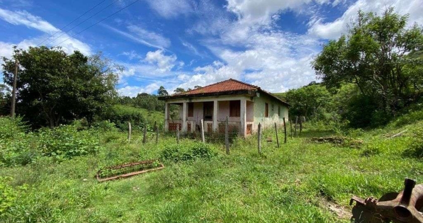 Sítio à venda, 145200 m² -Toledo/MG