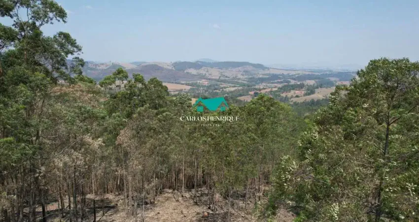 Terreno comercial à venda na Pedra Bela - SP, 02, Zona Rural, Pedra Bela