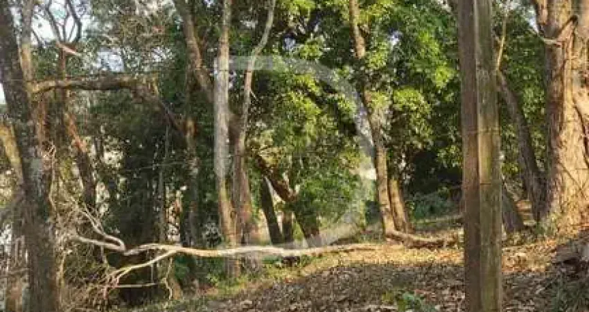 Terreno à venda na Rua Júlio Rodrigues, 65, Durando Mumare (Mailasqui), São Roque