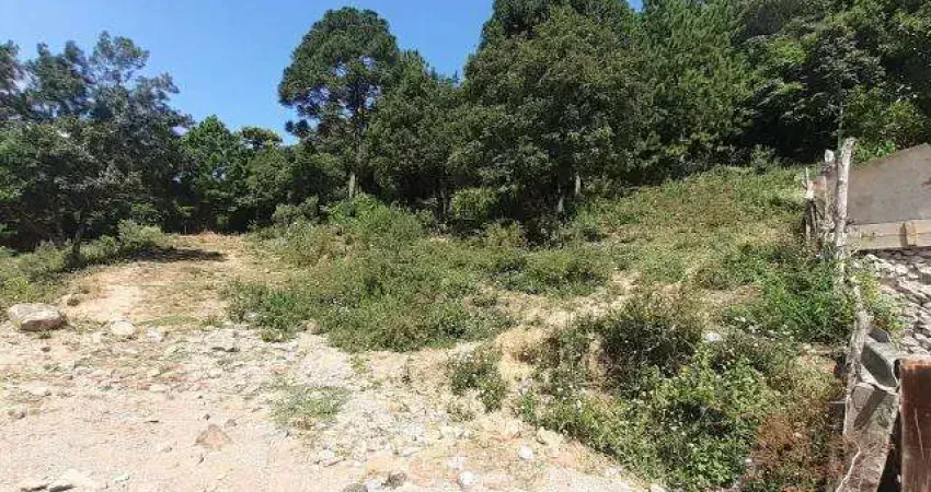 Terreno comercial para alugar na Cidade Nova, Caxias do Sul 