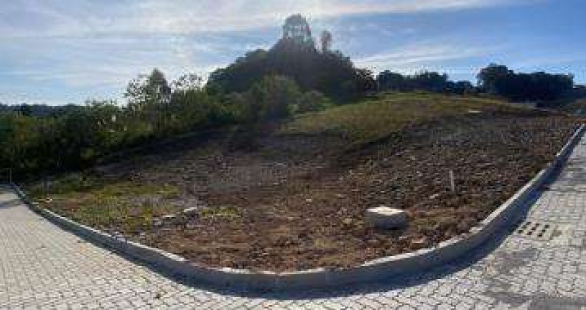 Terreno Desvio Rizzo Caxias do Sul
