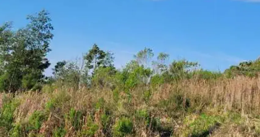 Terreno à venda no São Ciro, Caxias do Sul 