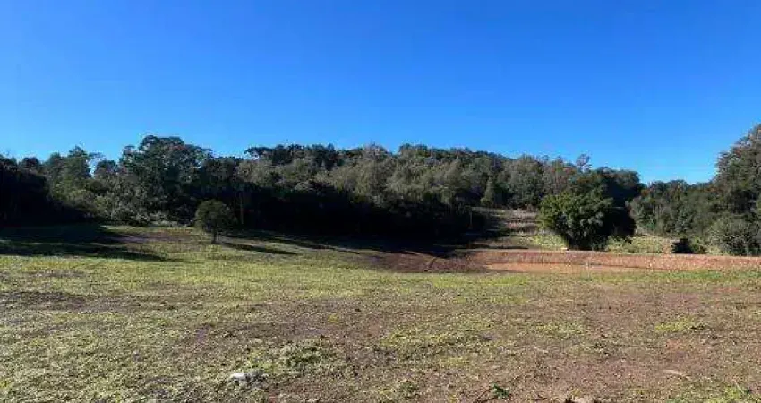 Terreno Vinhedos Caxias do Sul