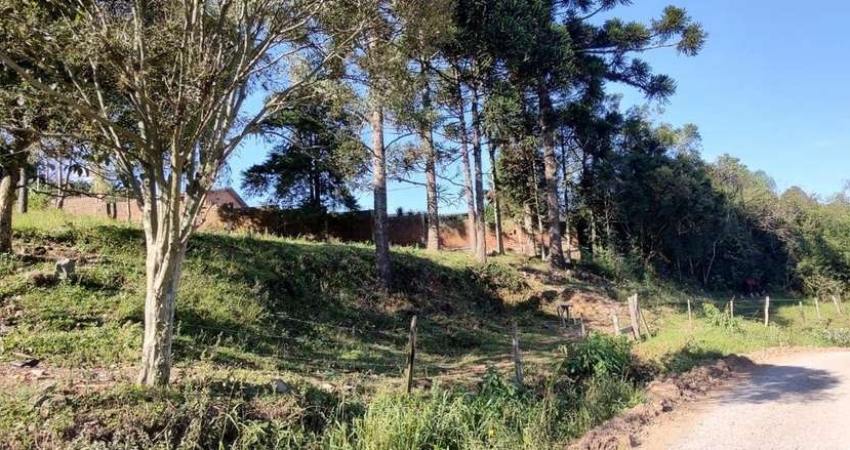 Terreno à venda no Santa Corona, Caxias do Sul 