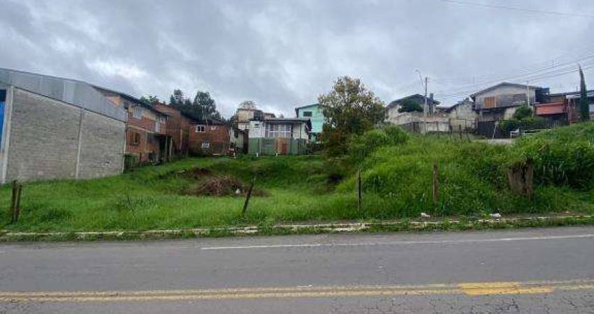 Terreno comercial para alugar no Pioneiro, Caxias do Sul 