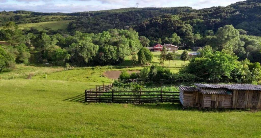 Terreno Fazenda Souza Caxias do Sul