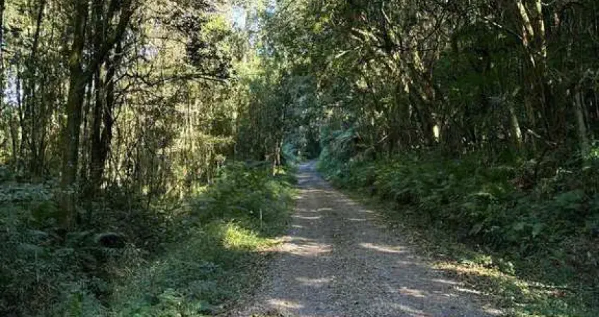 Chácara / sítio à venda no Centro, Caxias do Sul 