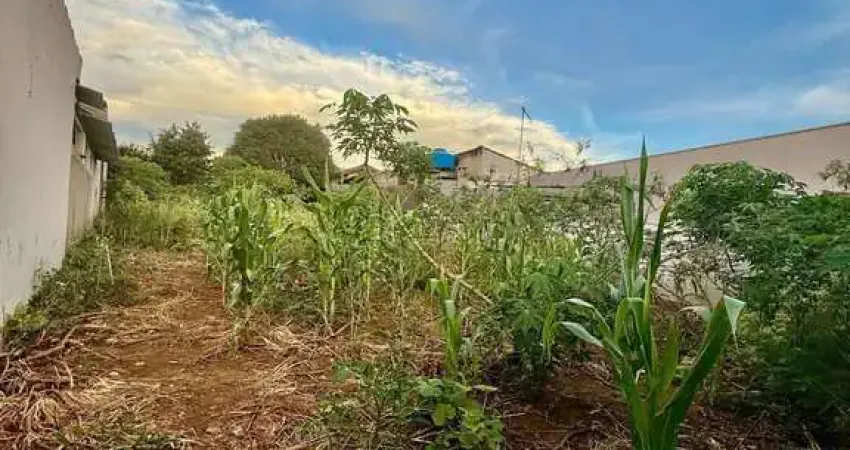Terreno à venda em Campinas, Cidade Jardim, com 250 m²