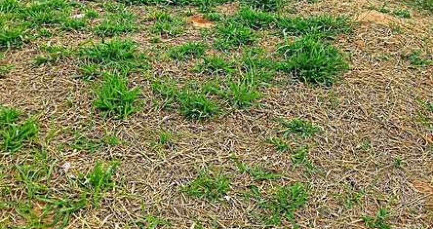 Terreno à venda em Indaiatuba, Jardim Casablanca, com 160 m²