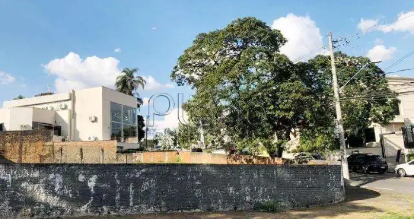 Terreno à venda e para alugar em Campinas, Nova Campinas, com 925 m²