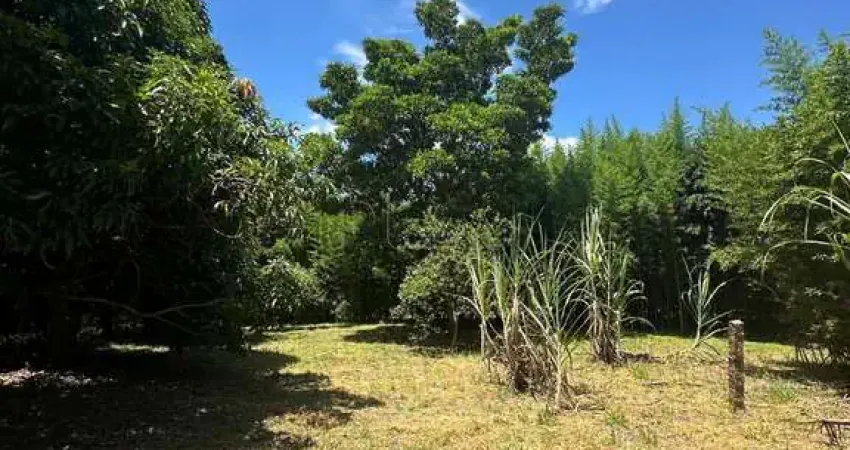 Terreno em condomínio fechado à venda na Alameda Serpa, 1, Itaici, Indaiatuba