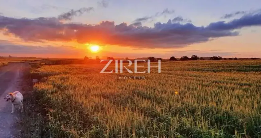 Terreno à venda na da Lage, 1, São Luiz do Purunã, Balsa Nova