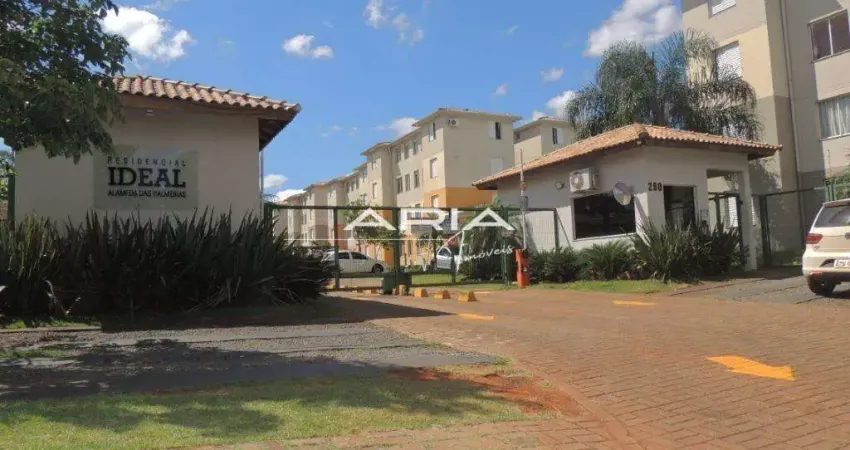 Apartamento à Venda no Jardim Jóquei Club, Londrina - PR