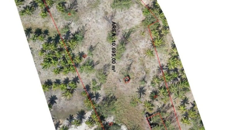 Terreno à venda na Praça Vinte e Nove de Janeiro, Povoado Maracajau, Maxaranguape