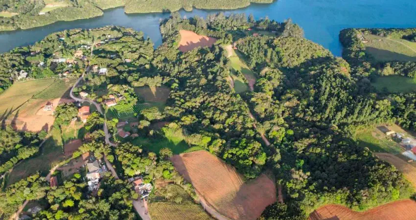 Chácara / sítio à venda no Botiatuva, Campo Largo 
