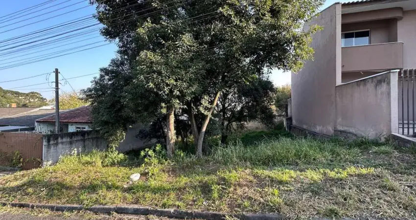 Terreno Lote para Venda em Vila Solene Campo Largo-PR