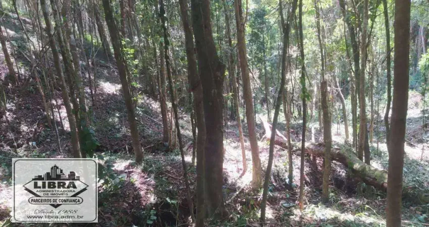 Vendo dois lotes, juntos ou separados, em condomínio 10200 m2