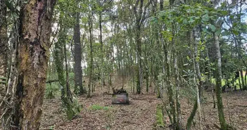 Terreno à venda no Centro, Balsa Nova 