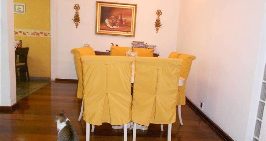 Casa com 3 quartos à venda na Rua Ribeirão Branco, Vila Bertioga, São Paulo