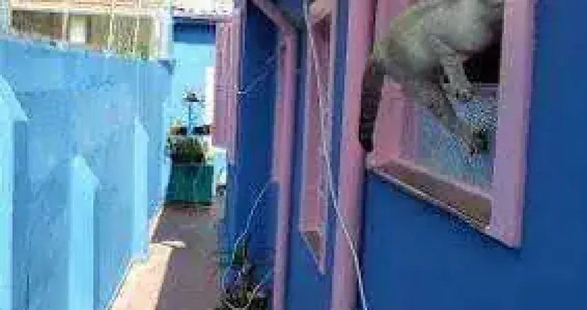 Casa com 3 quartos à venda na Rua Frei Gaspar, 628, Mooca, São Paulo