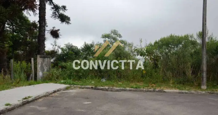 TERRENO PARA VENDA NO BAIRRO VILA VERDE
