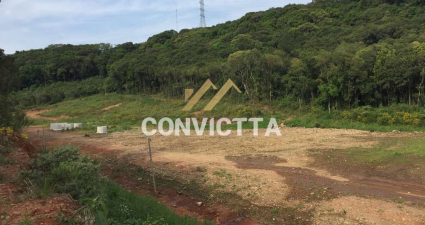 Terreno à venda no Linha 40, Caxias do Sul 