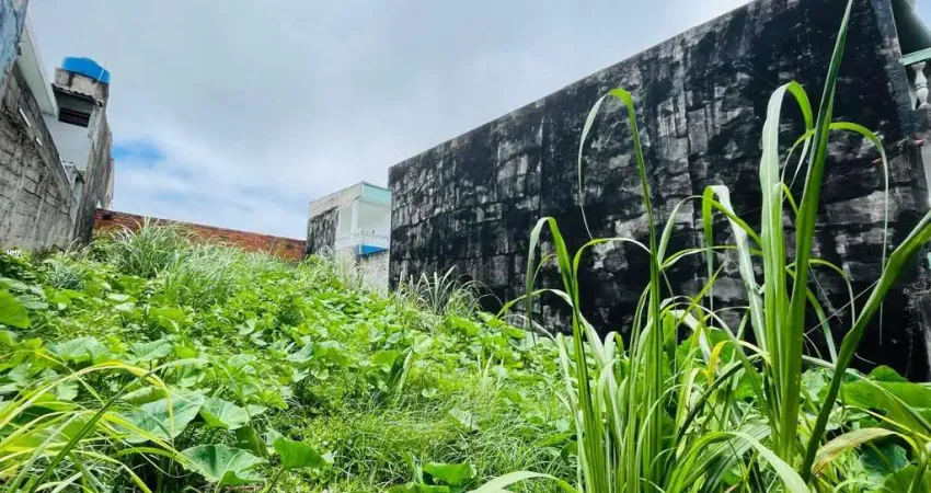 Terreno para Venda em São Paulo, Jardim Modelo
