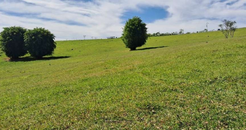 Terreno em Cunha - SP 20.000m² com documentação e localização privilegiada!