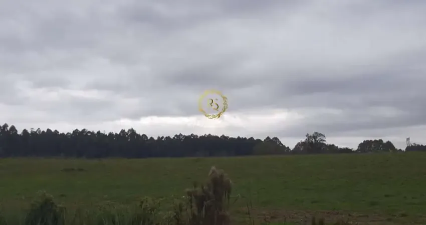 Terreno à venda na Estrada da Pedreira, Floresta, Nova Santa Rita
