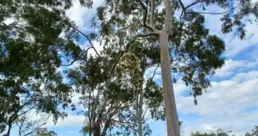 Chácara / sítio com 2 quartos à venda na BR 386, 424, Porto da Figueira, Nova Santa Rita