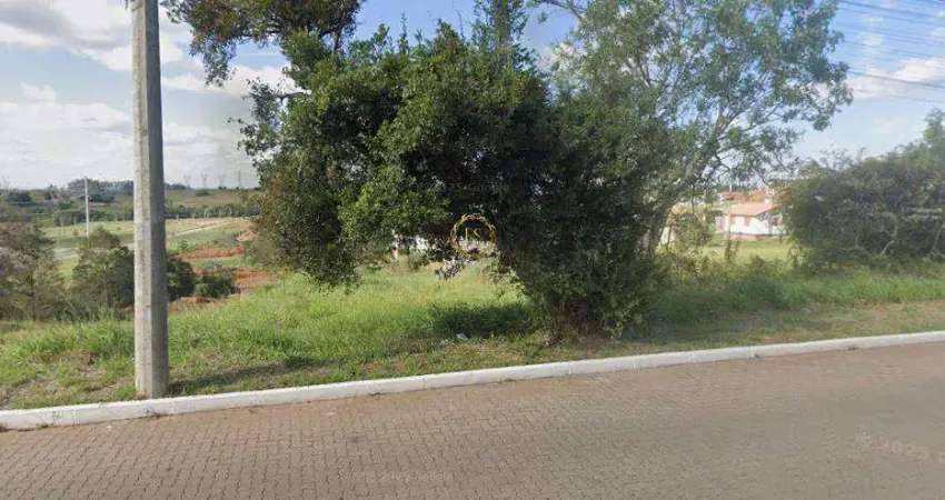 Terreno à venda na Rua Do Ipê, Centro, Nova Santa Rita