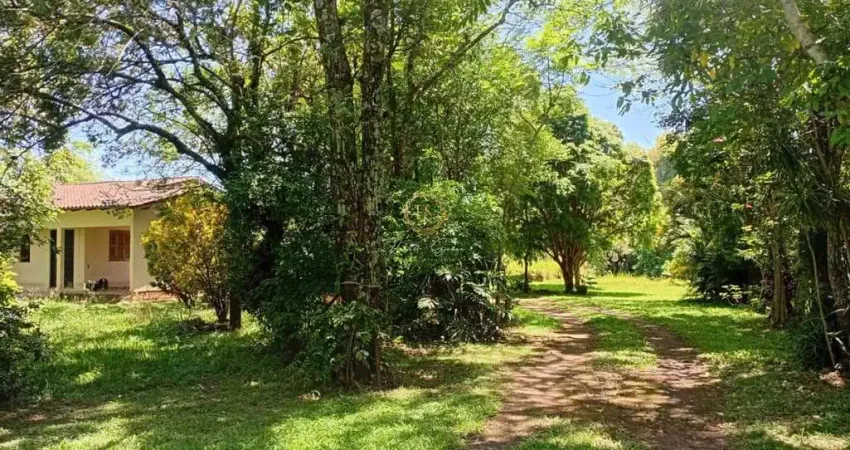 Chácara à venda em nova santa rita - 1,5ha de área próximo à br-386