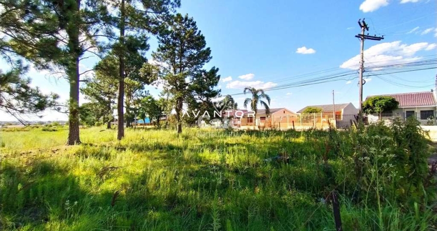 Terreno à venda na Rua Engenheiro Adi João Forgiarini, SN, Pinheiro Machado, Santa Maria