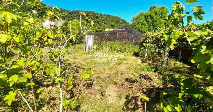 Terreno, 13x28m², Nossa Senhora Do Perpétuo Socorro