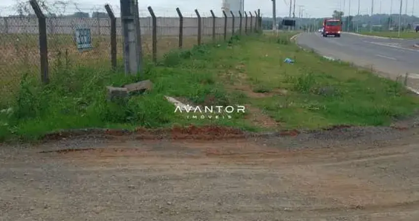 Excelente oportunidade para locação terreno plano em frente a BR 392 medindo 30x