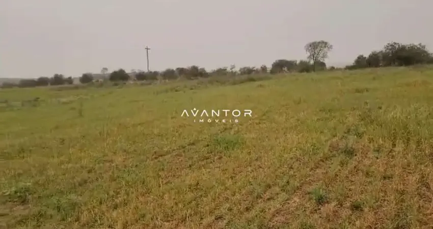 Fazenda à venda na região Noroeste, 340 hectares, 200 já cultivados com soja