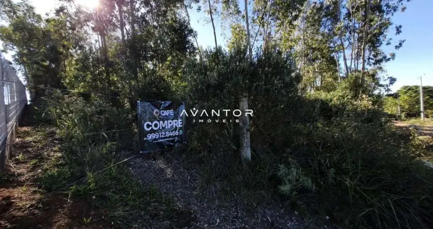 Terreno à venda em Itaara, com ampla metragem e natureza ao redor