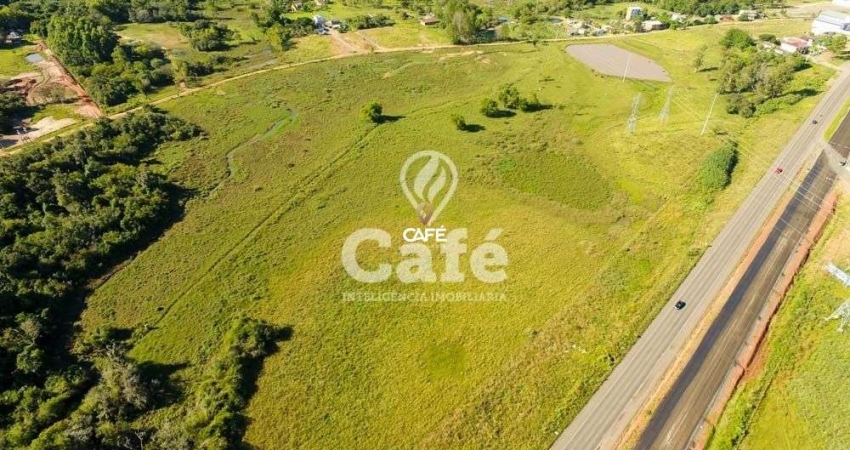 Excelente Terreno com 8 hectares de frente para BR.
